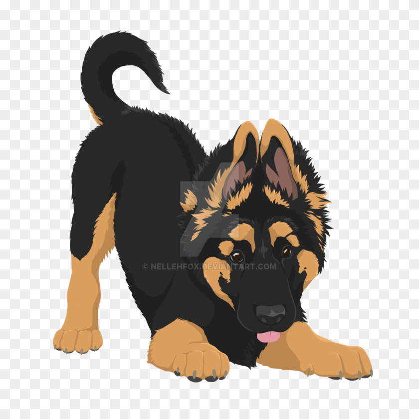 Detail German Shepherd Puppy Png Nomer 23