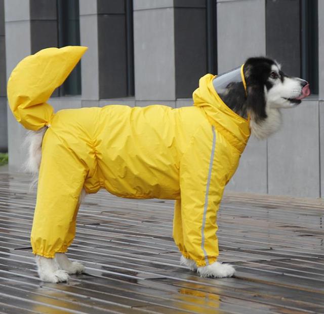 Detail German Shepherd Raincoat Nomer 14