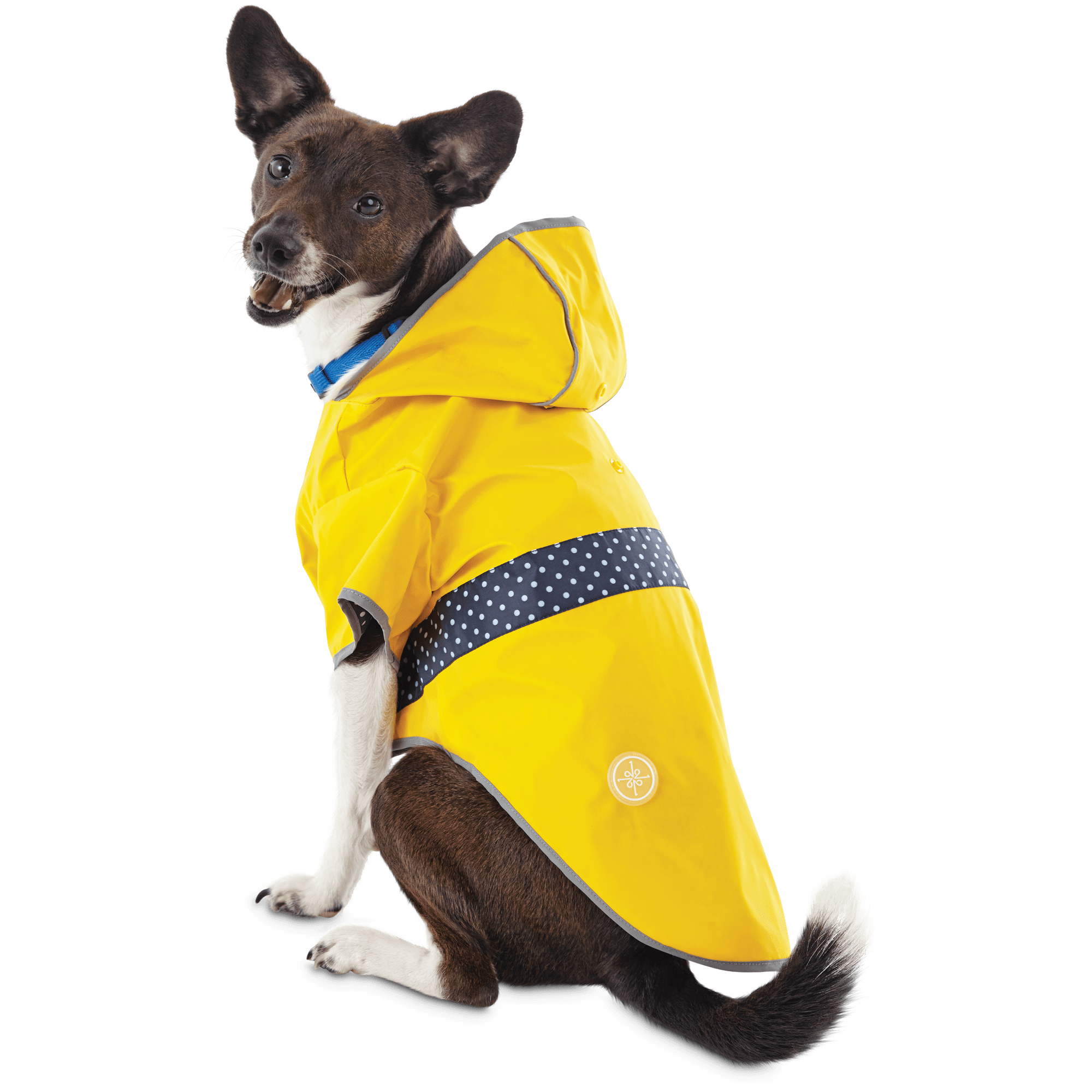 Detail German Shepherd Raincoat Nomer 16