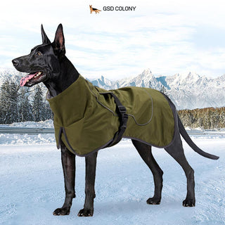 Detail German Shepherd Raincoat Nomer 25