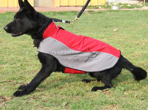 Detail German Shepherd Raincoat Nomer 34