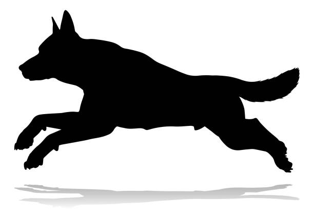 Detail German Shepherd Silhouette Free Nomer 44