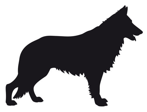 Detail German Shepherd Silhouette Png Nomer 19