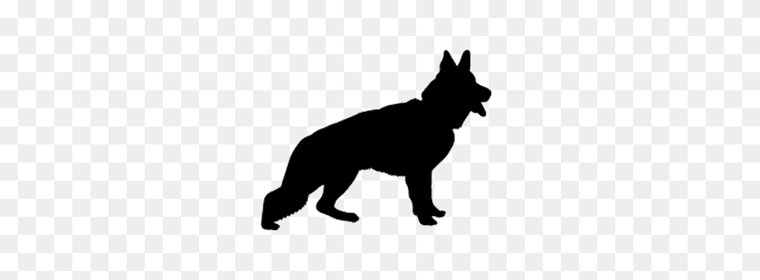 Detail German Shepherd Silhouette Png Nomer 30