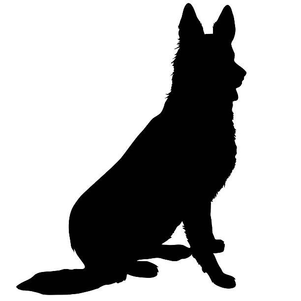 Detail German Shepherd Silhouette Png Nomer 9