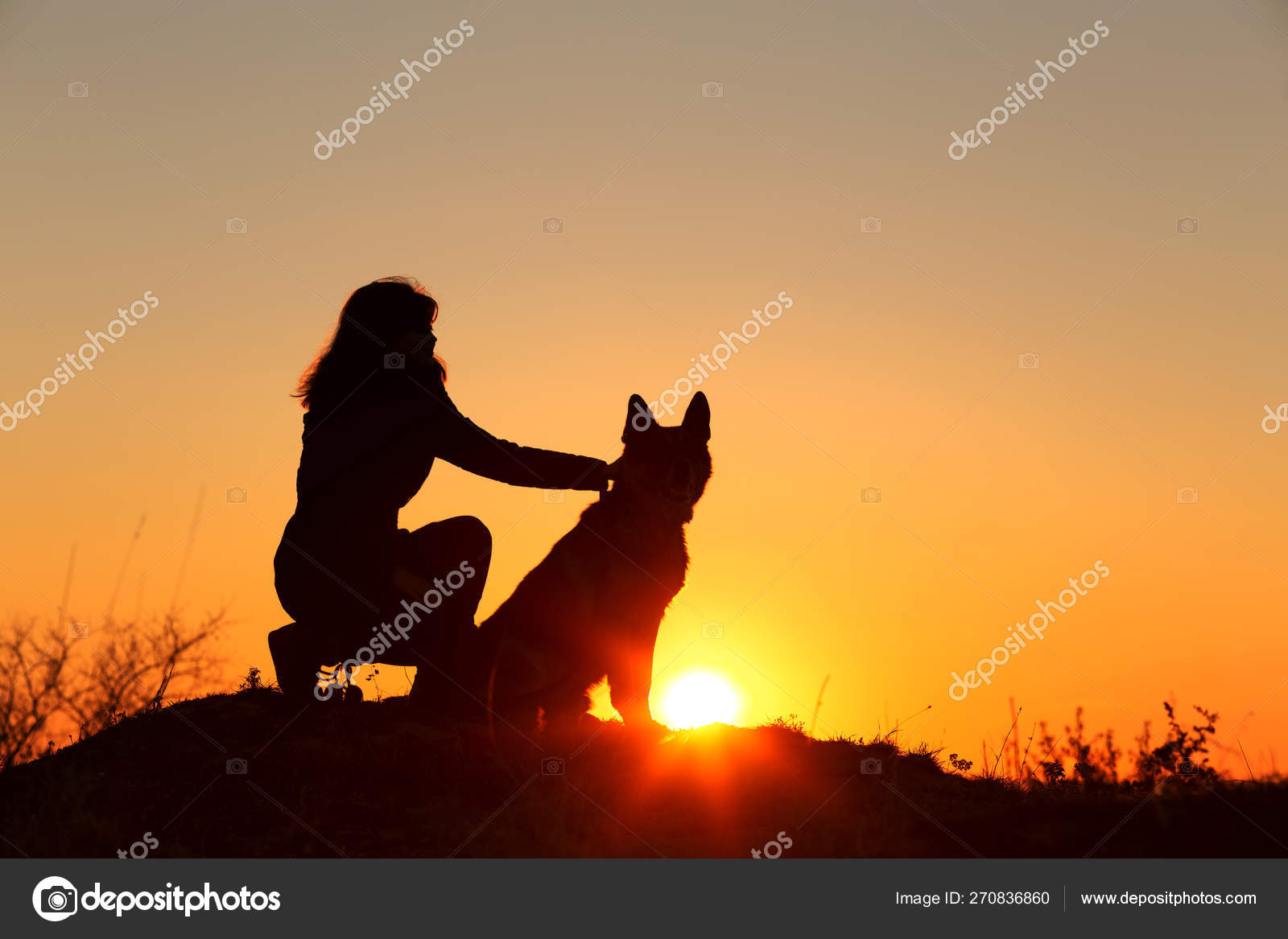 Detail German Shepherd Silhouette Sitting Nomer 51