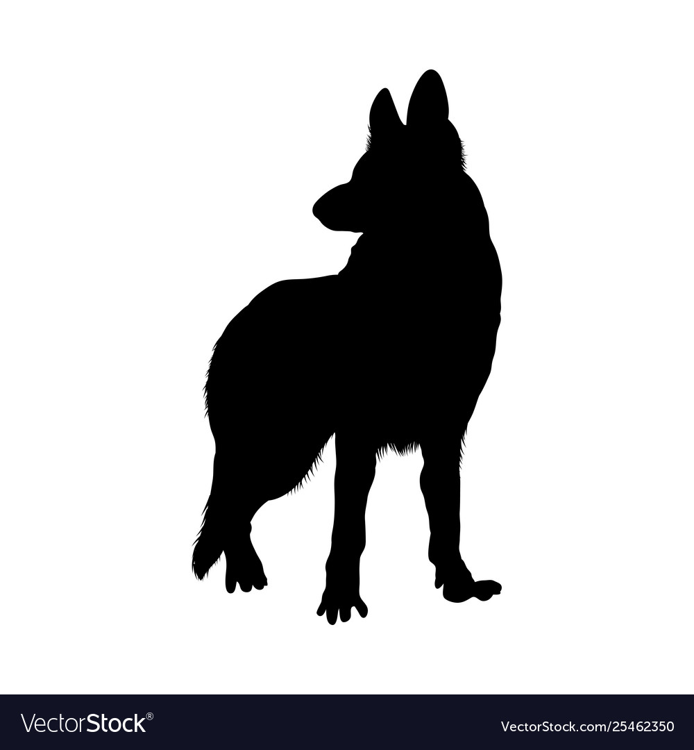 Detail German Shepherd Silhouette Vector Nomer 15