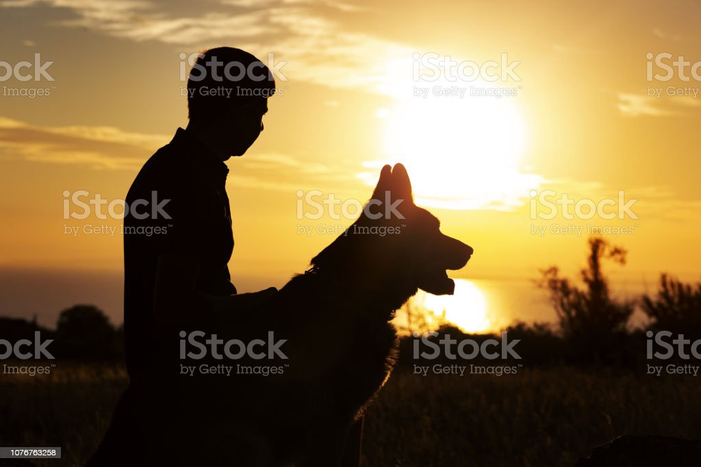 Detail German Shepherd Sitting Silhouette Nomer 42
