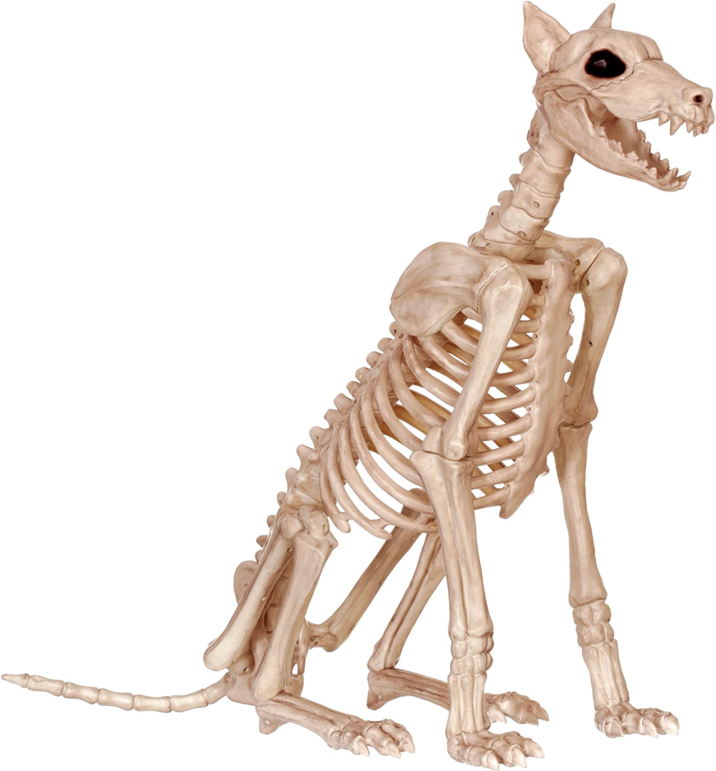 Detail German Shepherd Skeleton Halloween Nomer 39