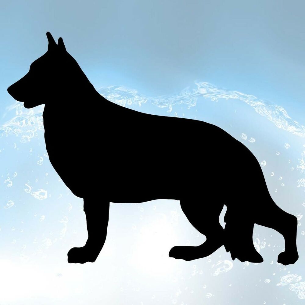 Detail German Shepherd Window Stickers Nomer 22