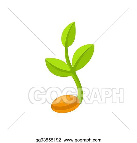 Detail Germination Clipart Nomer 16