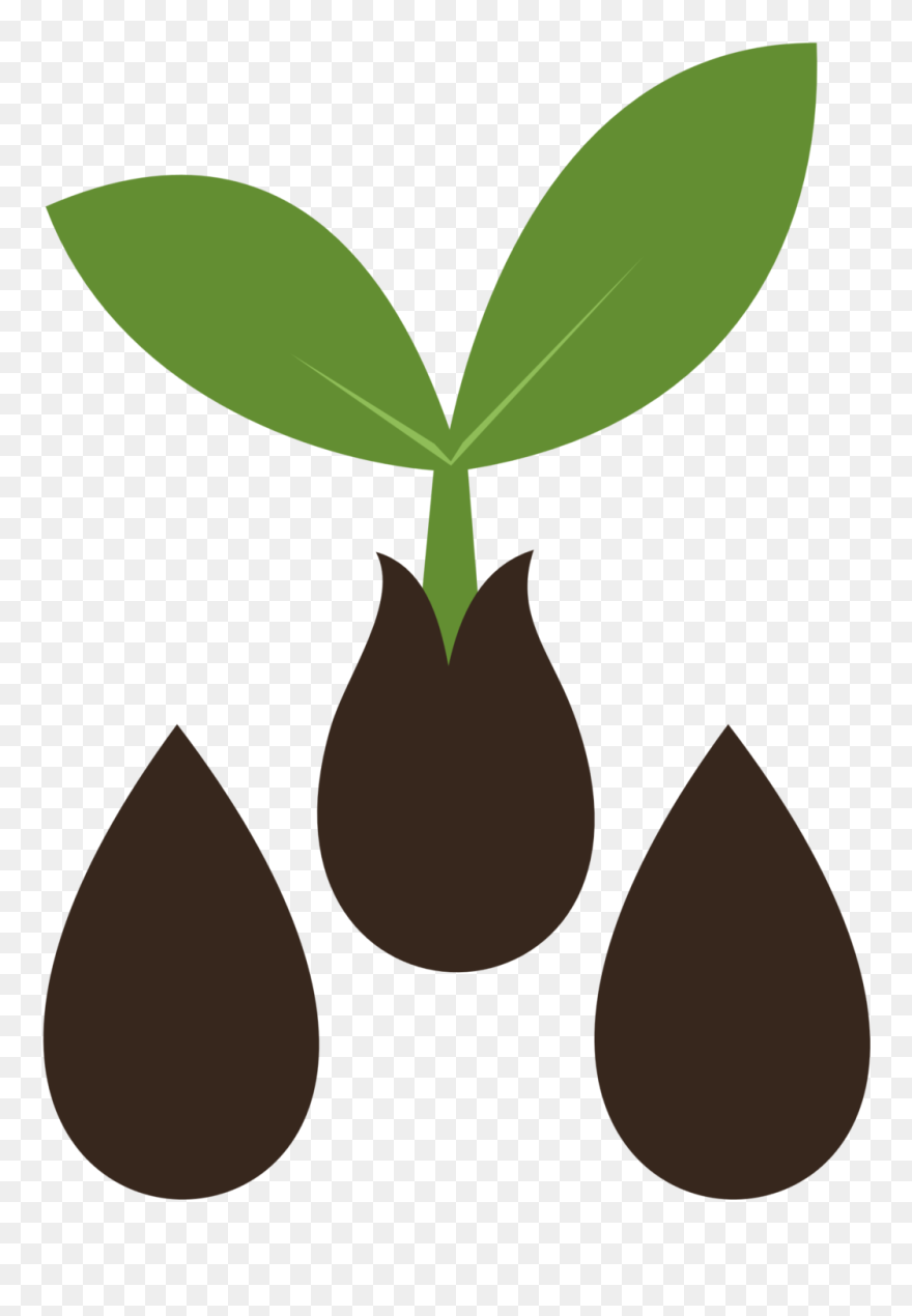 Detail Germination Clipart Nomer 38