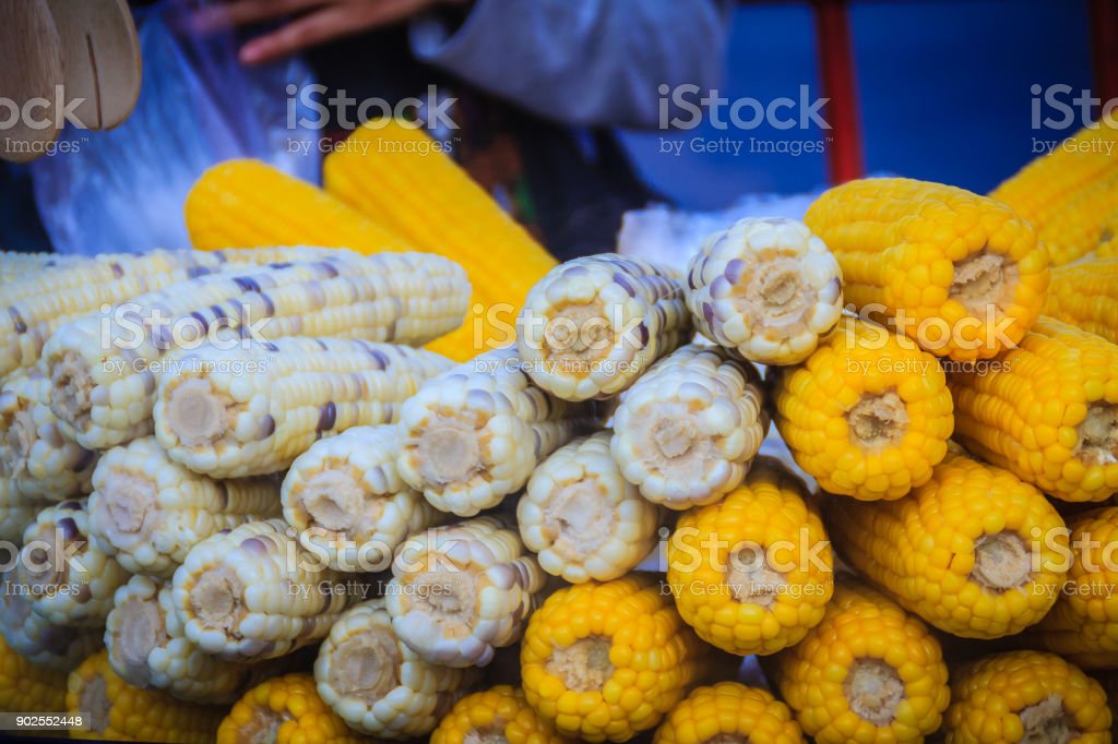 Detail Gerobak Jagung Rebus Nomer 27