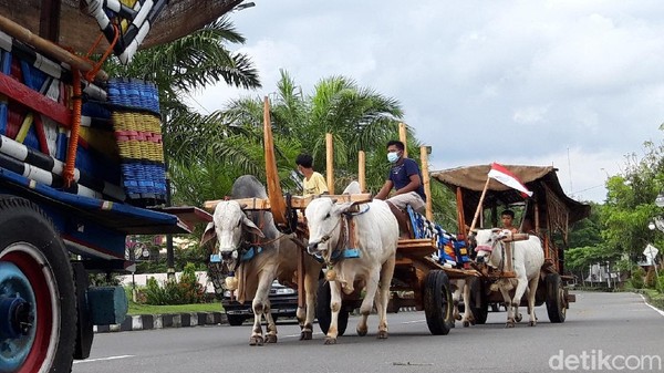 Detail Gerobak Yang Ditarik Kuda Nomer 26