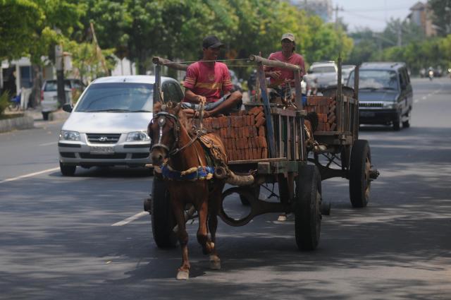 Detail Gerobak Yang Ditarik Kuda Nomer 9