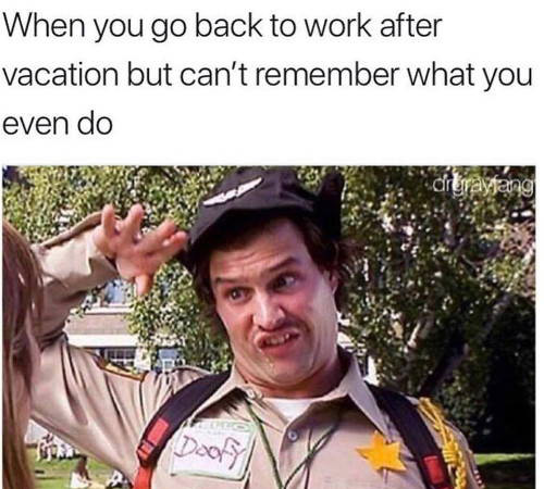 Detail Get Back To Work Meme Nomer 13