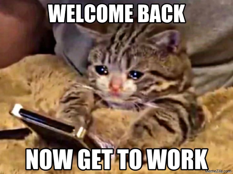 Detail Get Back To Work Meme Nomer 27