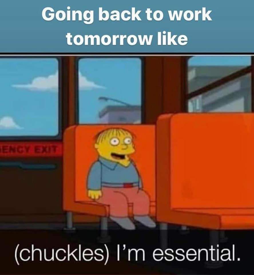 Detail Get Back To Work Meme Nomer 37
