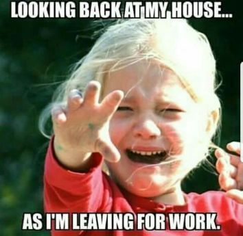 Detail Get Back To Work Meme Nomer 44
