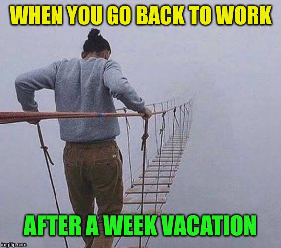 Detail Get Back To Work Meme Nomer 45