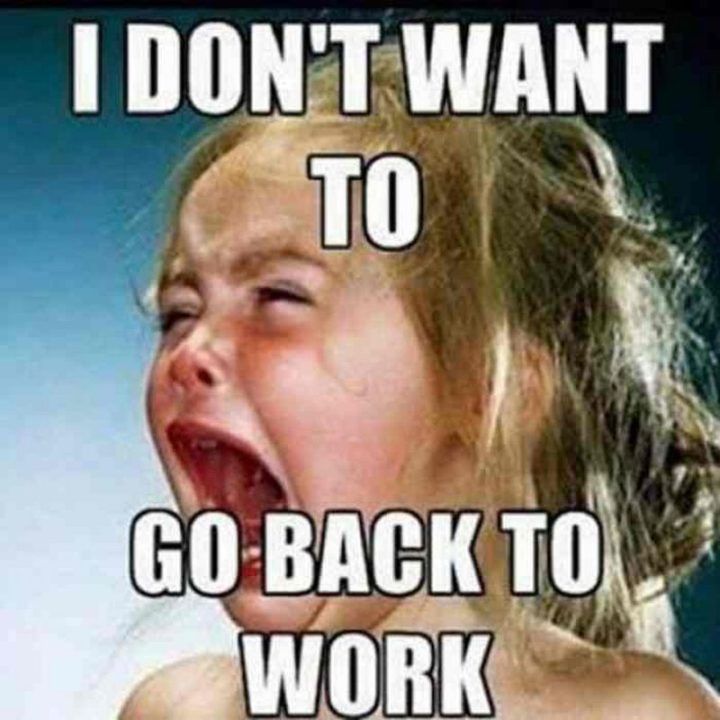 Detail Get Back To Work Meme Nomer 7