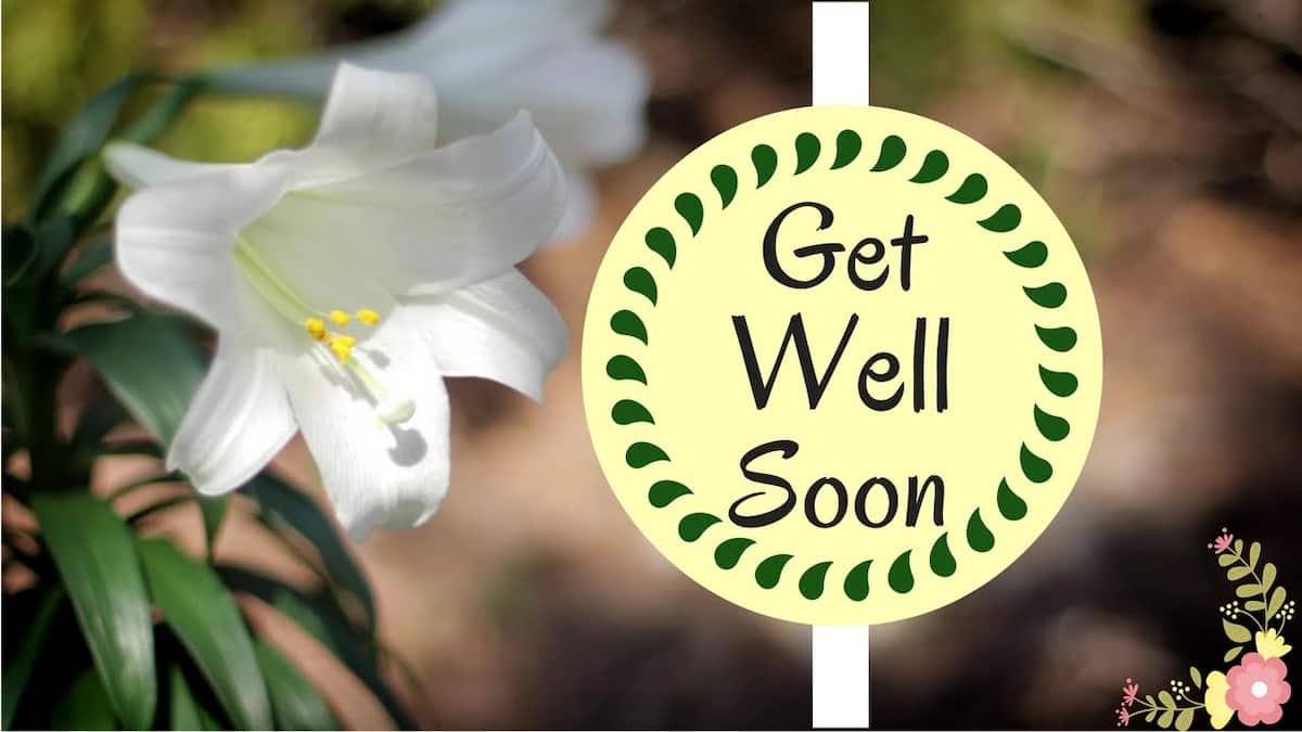 Detail Get Well Soon Darling Quotes Nomer 54