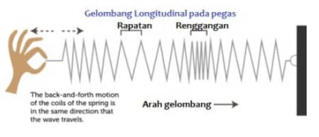 Detail Getaran Dan Gelombang Gambar Gelombang Longitudinal Serta Keterangan Nomer 11