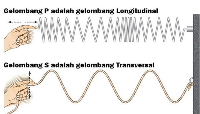 Detail Getaran Dan Gelombang Gambar Gelombang Longitudinal Serta Keterangan Nomer 17