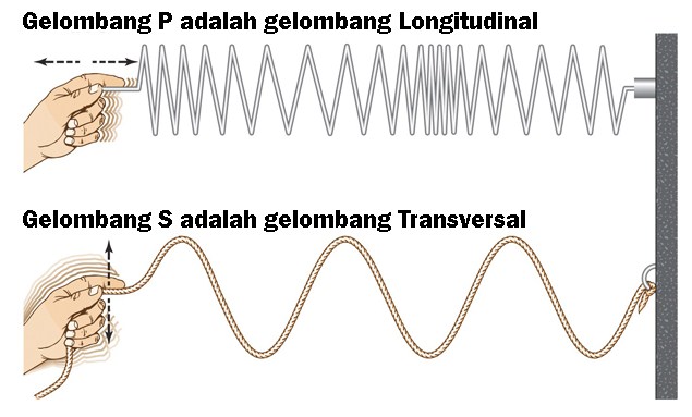 Detail Getaran Dan Gelombang Gambar Gelombang Longitudinal Serta Keterangan Nomer 10