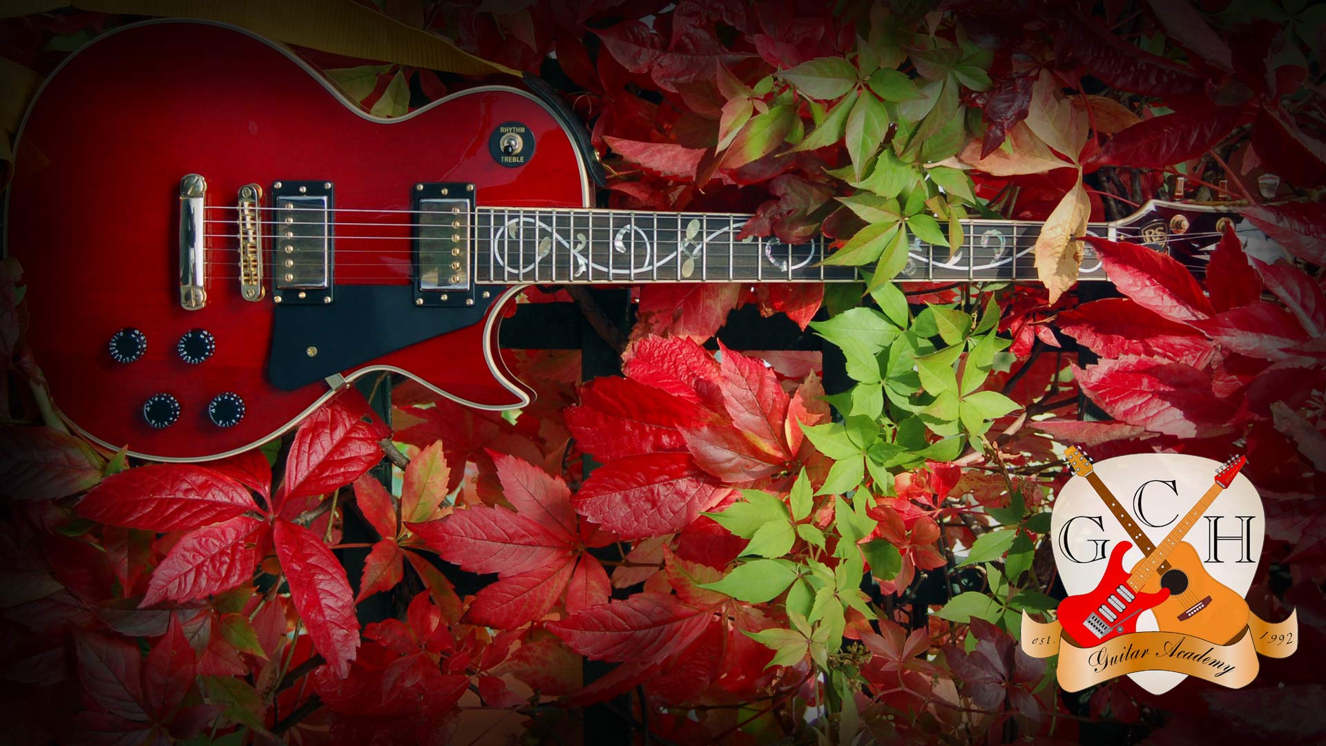 Detail Gibson Les Paul Wallpaper Nomer 43