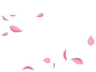 Detail Gif Bunga Sakura Bergerak Nomer 37
