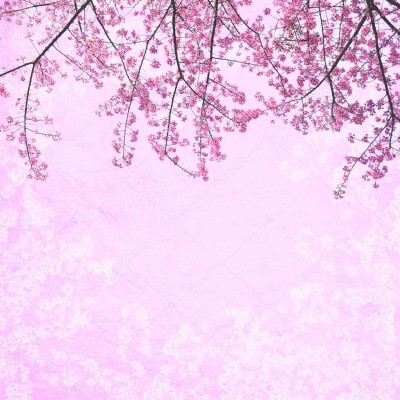 Detail Gif Bunga Sakura Bergerak Nomer 48