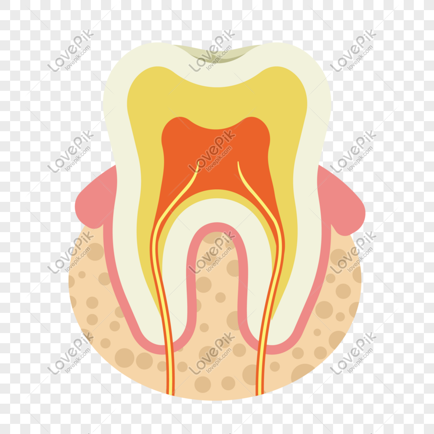 Detail Gigi Animasi Png Nomer 53