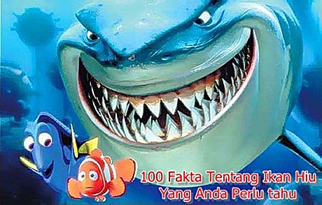 Detail Gigi Ikan Hiu Nomer 37