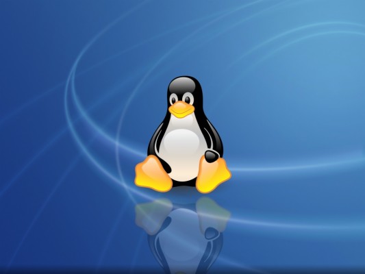 Detail Animasi Pinguin Linux Bergerak Nomer 13