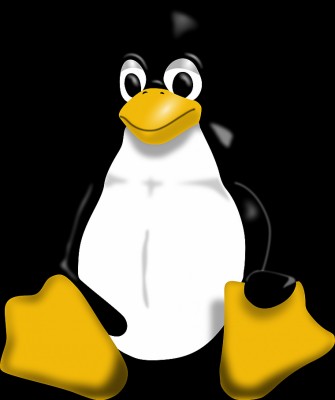 Detail Animasi Pinguin Linux Bergerak Nomer 14