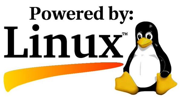 Detail Animasi Pinguin Linux Bergerak Nomer 33