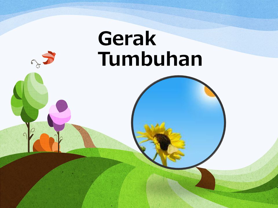 Detail Animasi Pohon Bergerak Untuk Powerpoint Nomer 37