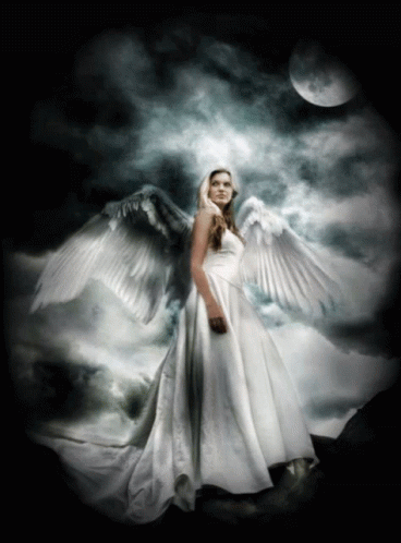 Detail Animated Angel Wings Gif Nomer 58