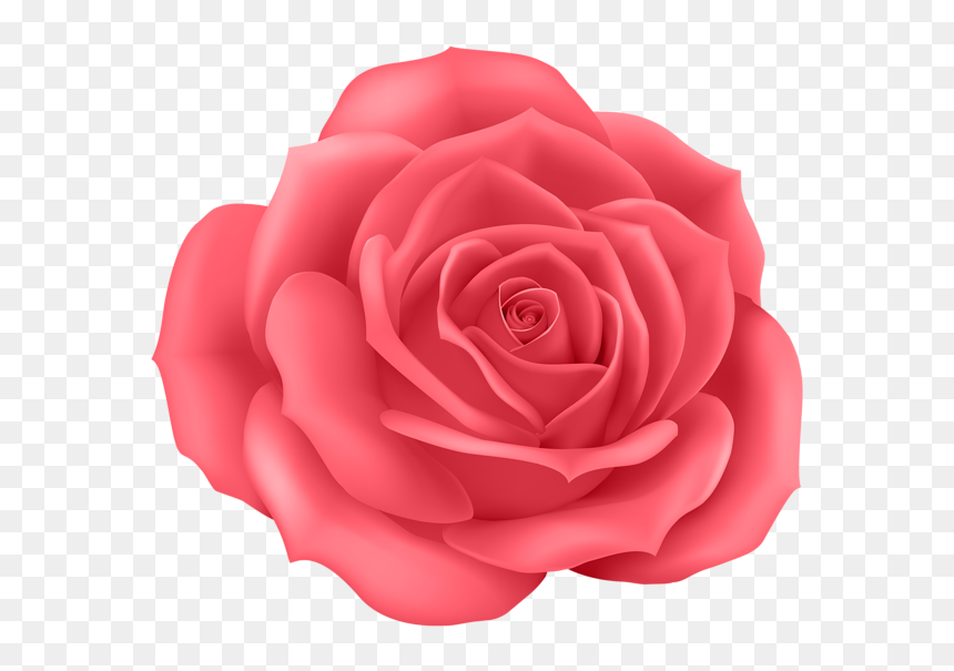 Detail Animated Rose Png Nomer 39