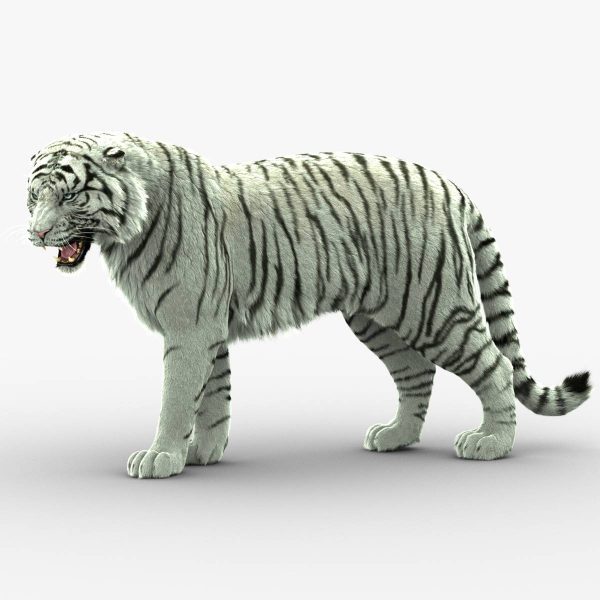 Detail Animated Tiger Nomer 37