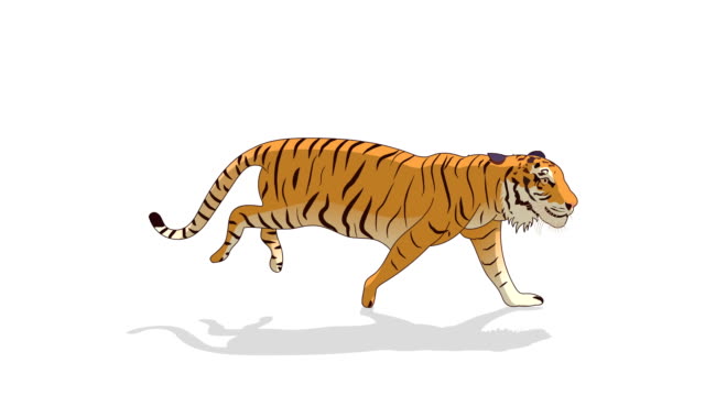 Detail Animated Tiger Nomer 6