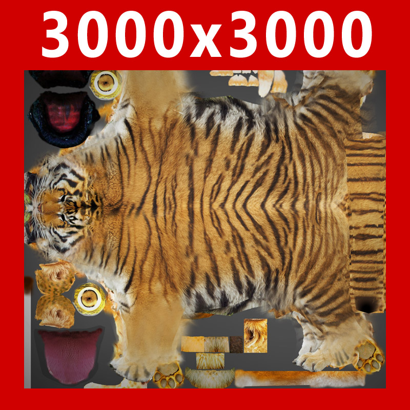 Detail Animated Tiger Nomer 45