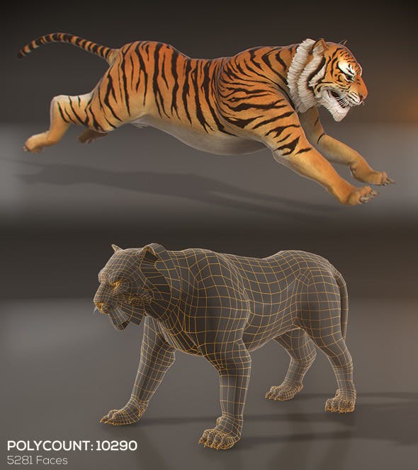 Detail Animated Tiger Nomer 48