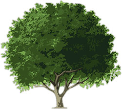 Detail Animated Tree Pictures Nomer 29