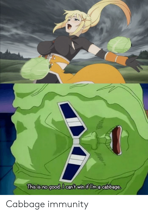 Detail Anime Cabbage Meme Nomer 19