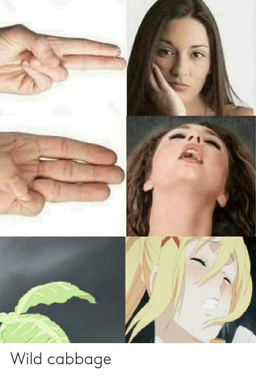 Detail Anime Cabbage Meme Nomer 37