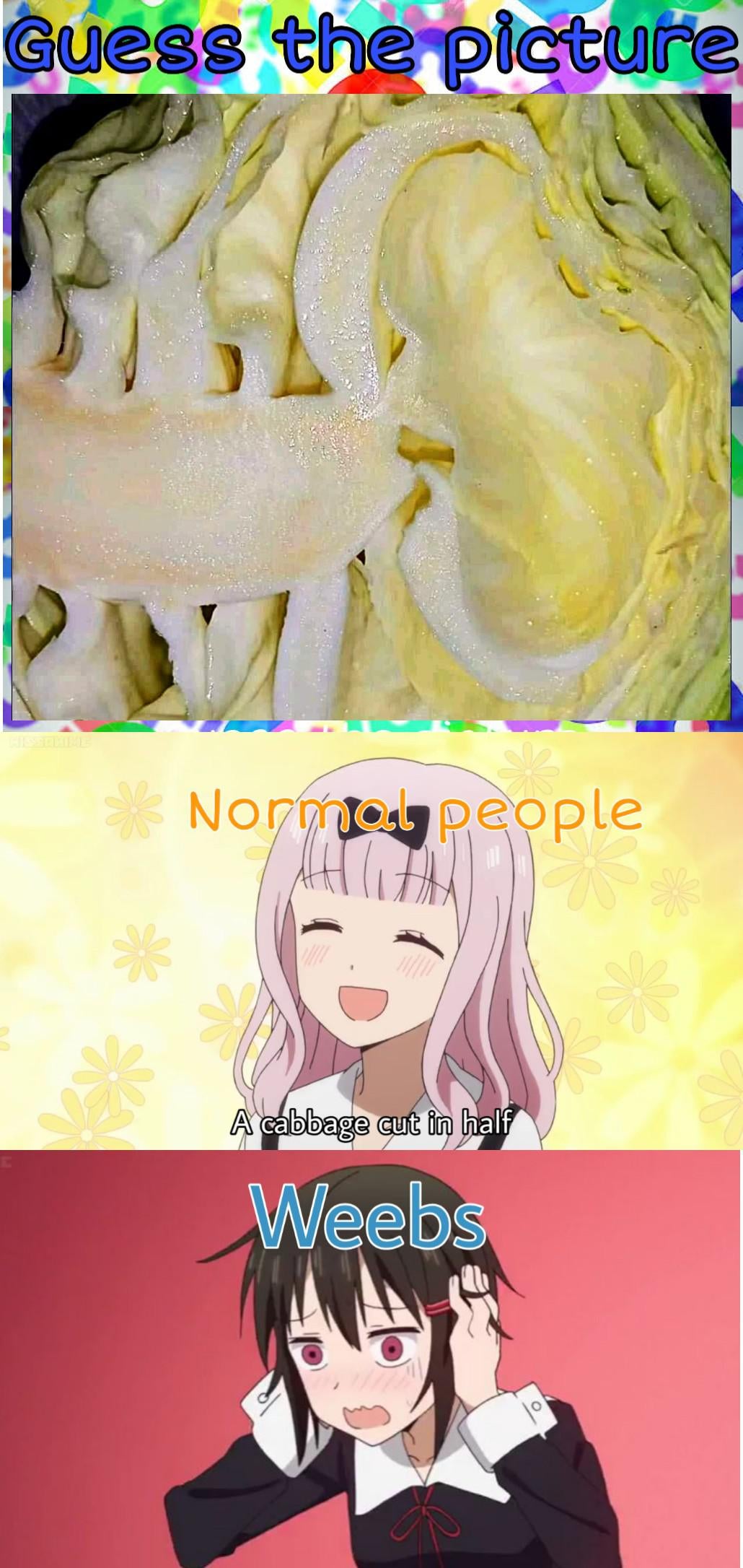 Detail Anime Cabbage Meme Nomer 7