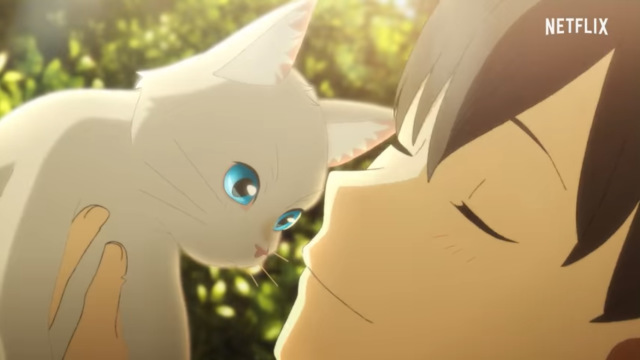 Detail Anime Kucing Nomer 10