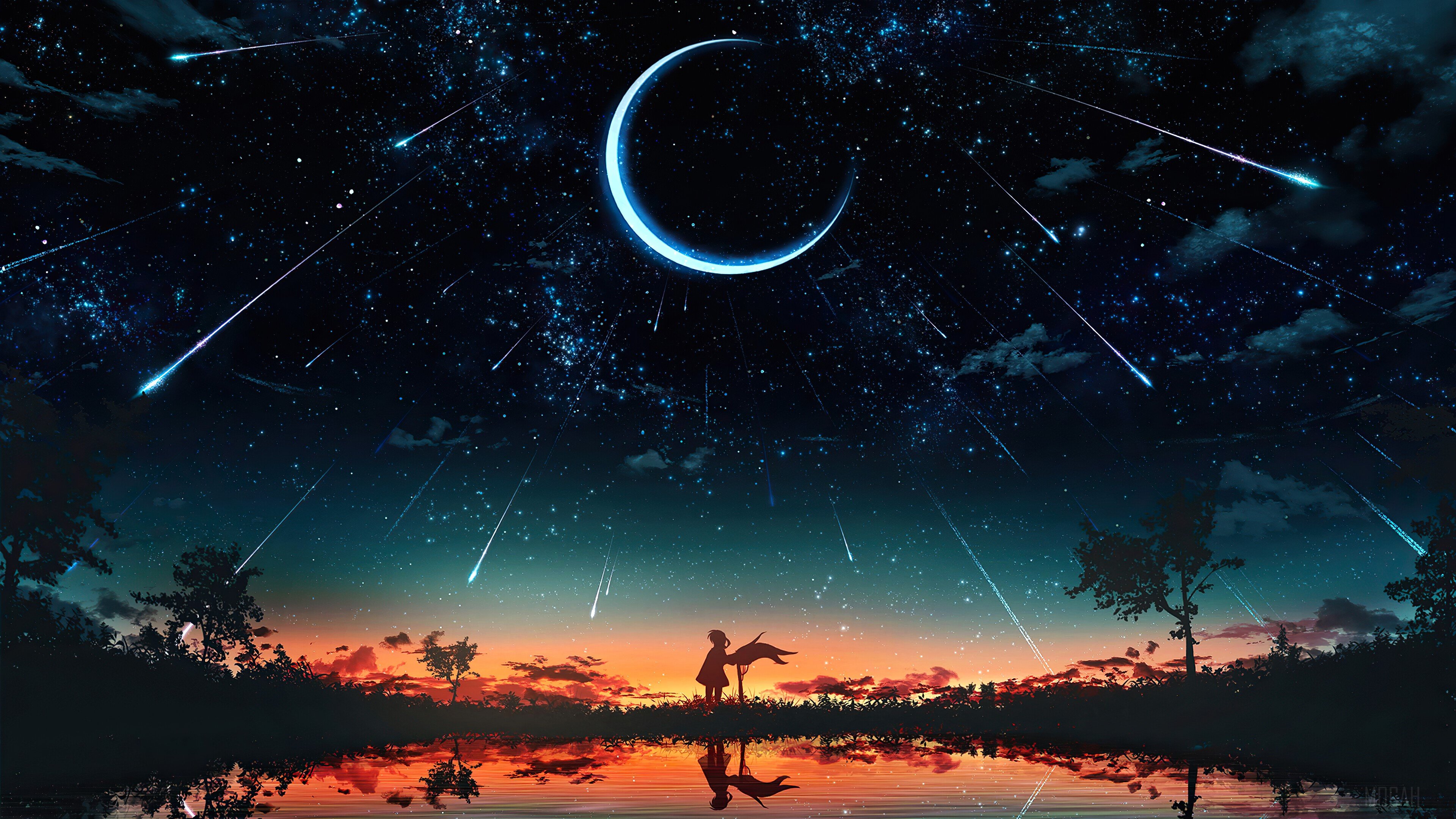 Detail Anime Night Sky Nomer 24